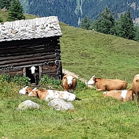 Ferienhaus Grofn Matrei in Osttirol Exterior foto