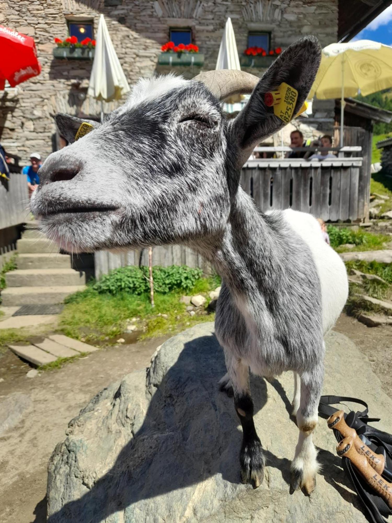 Ferienhaus Grofn Matrei in Osttirol Exterior foto