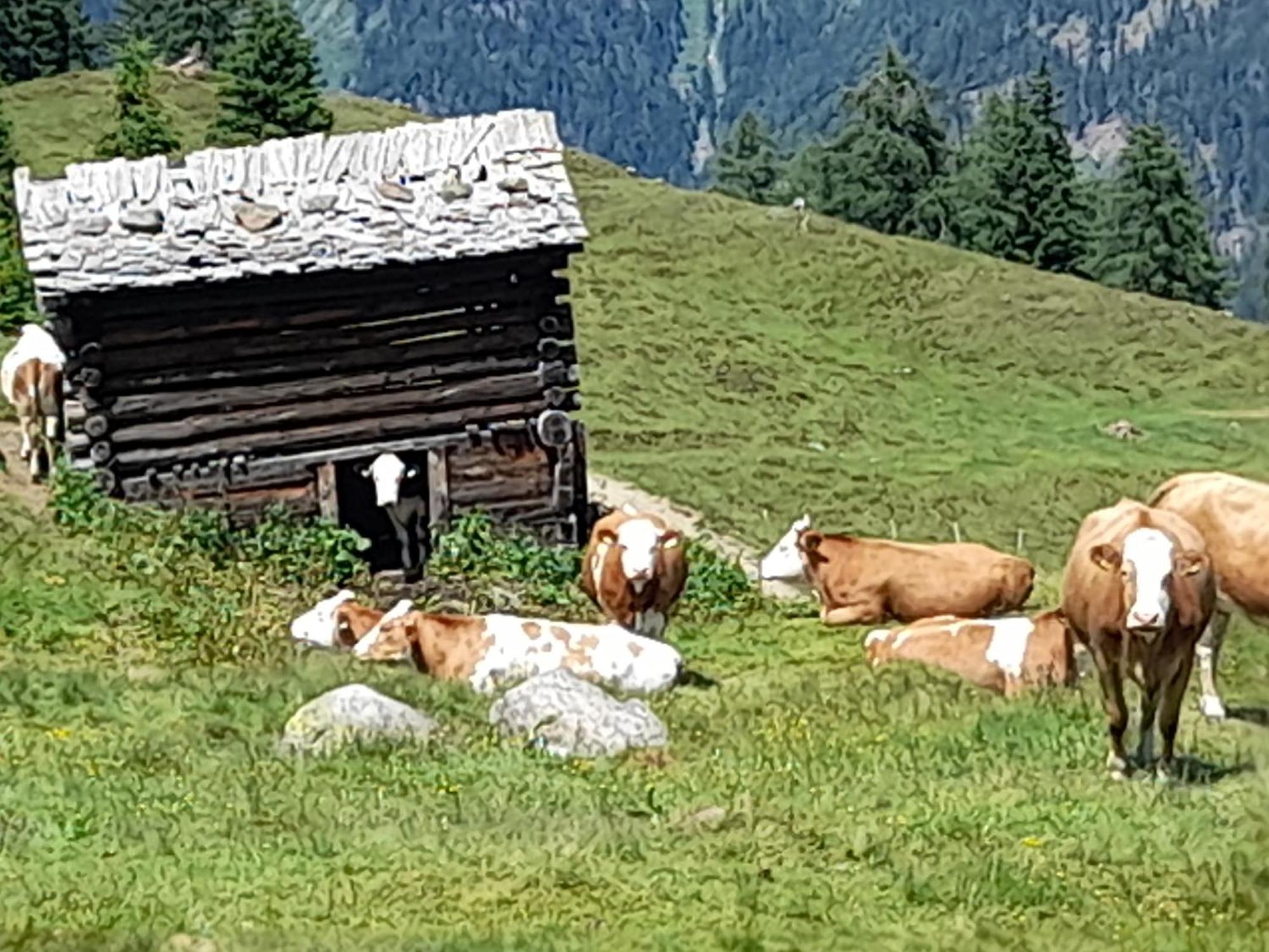 Ferienhaus Grofn Matrei in Osttirol Exterior foto